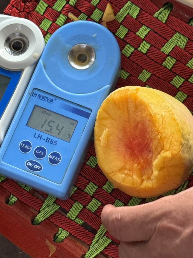 浙江精品锦绣黄桃，一手货源，量大价优，对接电商商超