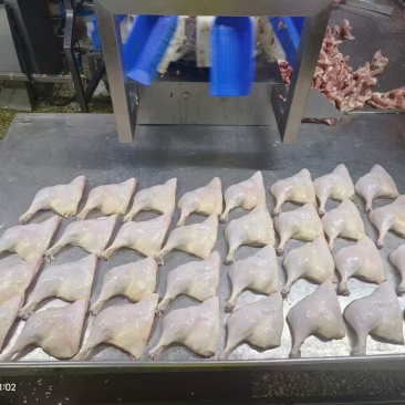 山东鸭边腿，规格齐全，量大从优，可视频看货，下单即发