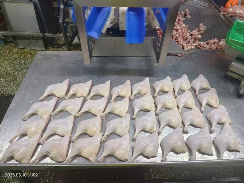山东鸭边腿，规格齐全，量大从优，可视频看货，下单即发