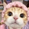 赵倩颖的一亩田店铺