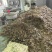 【厂家直供】菜籽饼无杂质现货批发量大价优欢迎来电