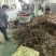 【厂家直供】菜籽饼无杂质现货批发量大价优欢迎来电