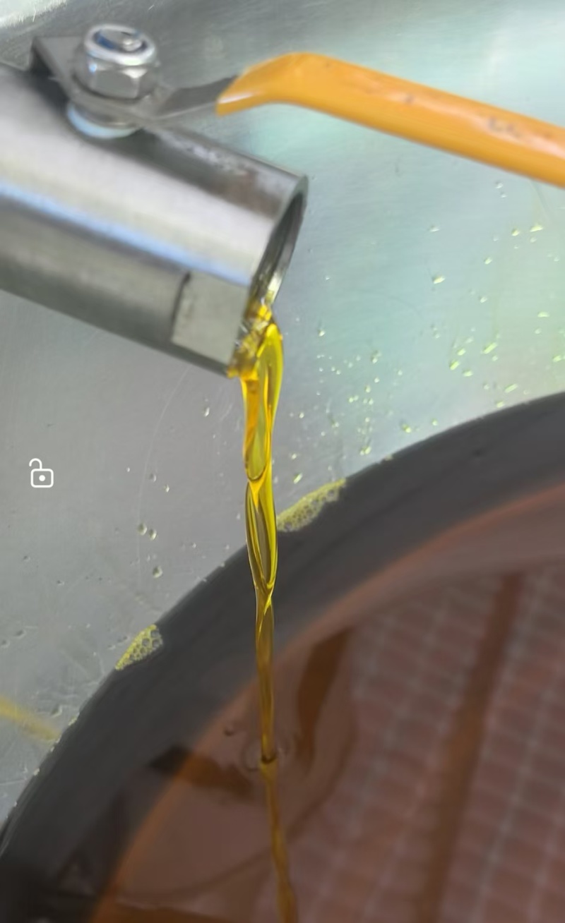 【包邮】醇香菜籽油非转基因油现榨菜籽油欢迎咨询下单