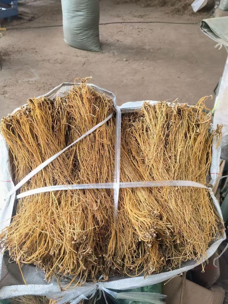 龙胆草云南龙胆草龙胆草批发代发