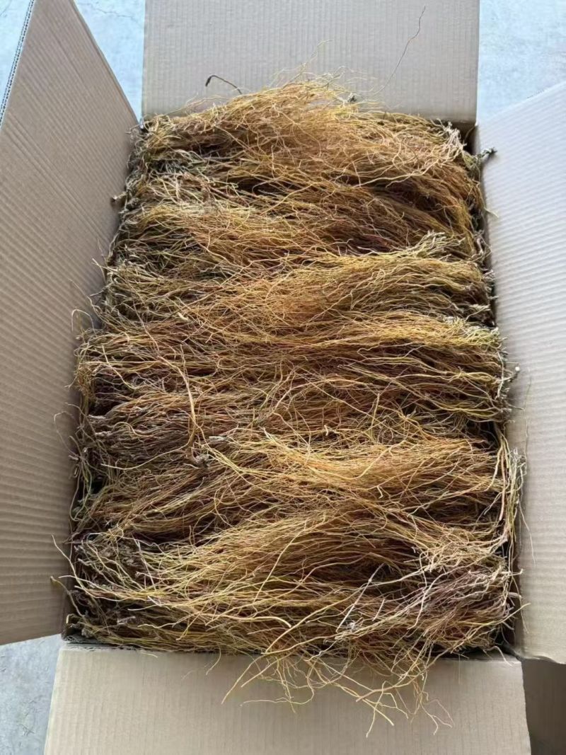 龙胆草云南龙胆草龙胆草批发代发