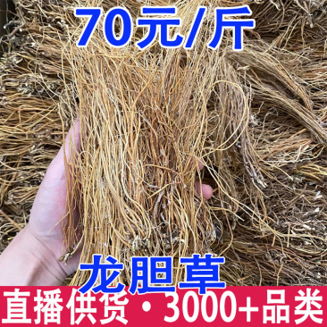 龙胆草云南龙胆草龙胆草批发代发