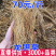 龙胆草云南龙胆草龙胆草批发代发