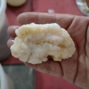 石太岁肉灵芝太岁白肉太岁一件代发