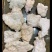 石太岁肉灵芝太岁白肉太岁一件代发