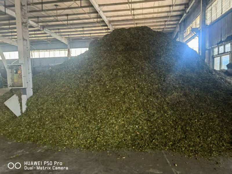 银杏叶包全检高含量产地直供品质保障对接全国