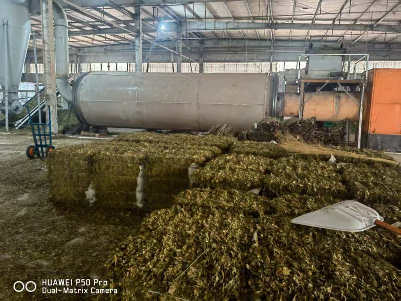 银杏叶包全检高含量产地直供品质保障对接全国