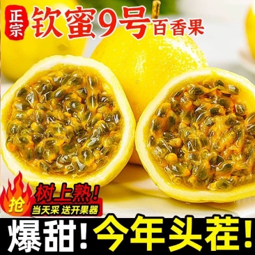 【百香果】广西百香果广西钦蜜9号百香果产地直发欢迎咨询