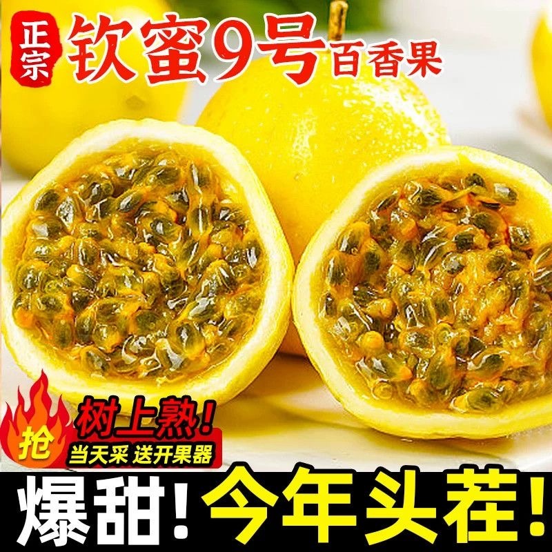 【百香果】广西百香果广西钦蜜9号百香果产地直发欢迎咨询