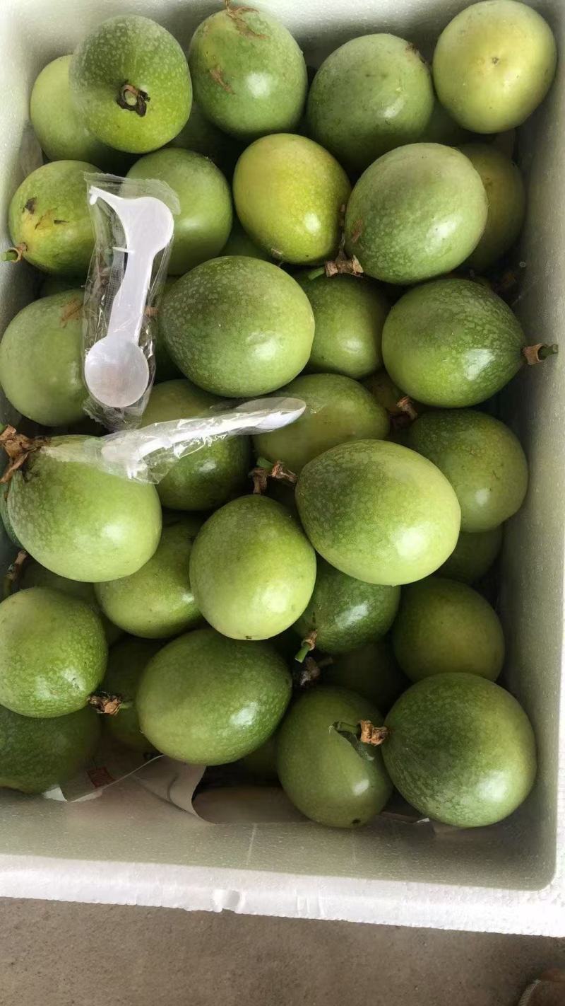 【实力供货】精品百香果钦蜜9号一件代发品质保证