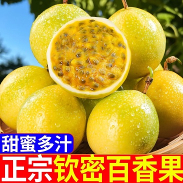 【实力供货】精品百香果钦蜜9号一件代发品质保证