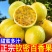 【实力供货】精品百香果钦蜜9号一件代发品质保证
