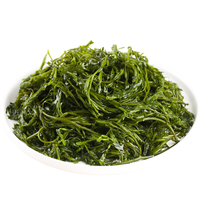 【工厂直销】新鲜马尾藻盐渍鞭炮笋火锅餐饮食材5斤装