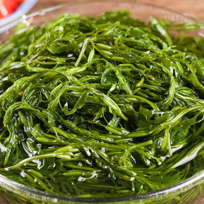 【嫩菜！】鞭炮笋盐渍马尾藻新鲜长寿菜荣成原产