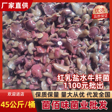 红乳牛肝菌批发低价直批90斤/件质量保证