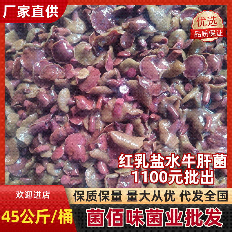 红乳牛肝菌批发低价直批90斤/件质量保证