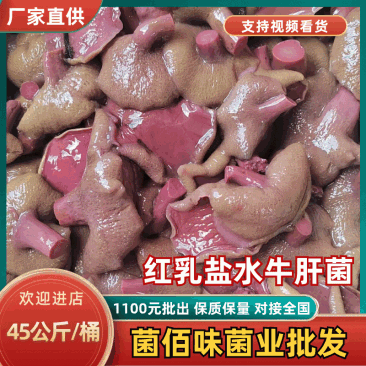 红乳牛肝菌盐水菌乳牛肝菌90斤/件产地直销