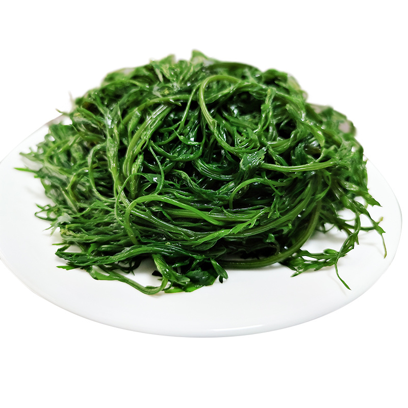 （批发价）头茬嫩菜马尾藻鞭炮笋荣成原产工厂直发
