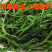 （批发价）头茬嫩菜马尾藻鞭炮笋荣成原产工厂直发