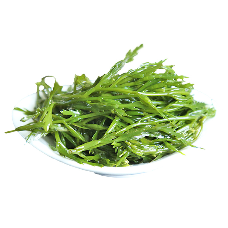 【头茬嫩菜】新鲜鞭炮笋盐渍马尾藻供应火锅餐饮
