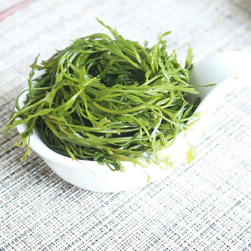 【头茬嫩菜】新鲜鞭炮笋盐渍马尾藻供应火锅餐饮