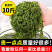 整箱10斤鞭炮笋当季头茬嫩菜马尾藻