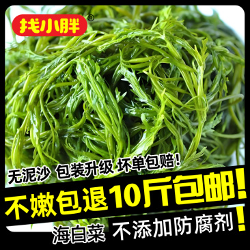 鞭炮笋马尾藻20斤整箱鸭脖店餐饮**