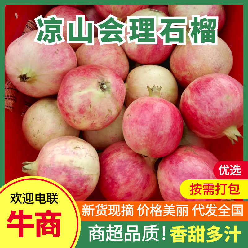 会理石榴原产地供货一手价格按需求分拣打包承接加工批发电商直播