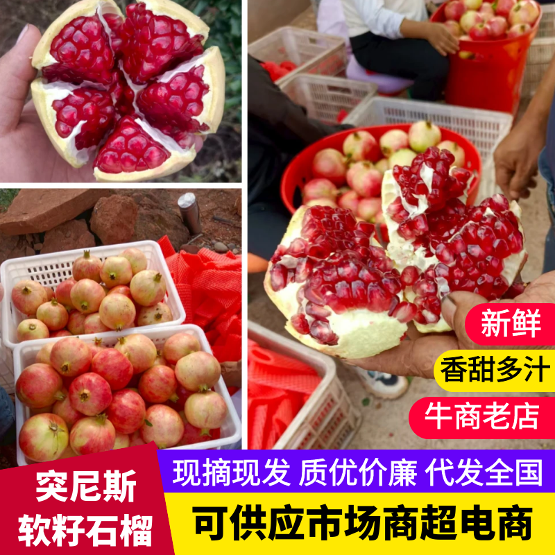 会理石榴原产地供货一手价格按需求分拣打包承接加工批发电商直播
