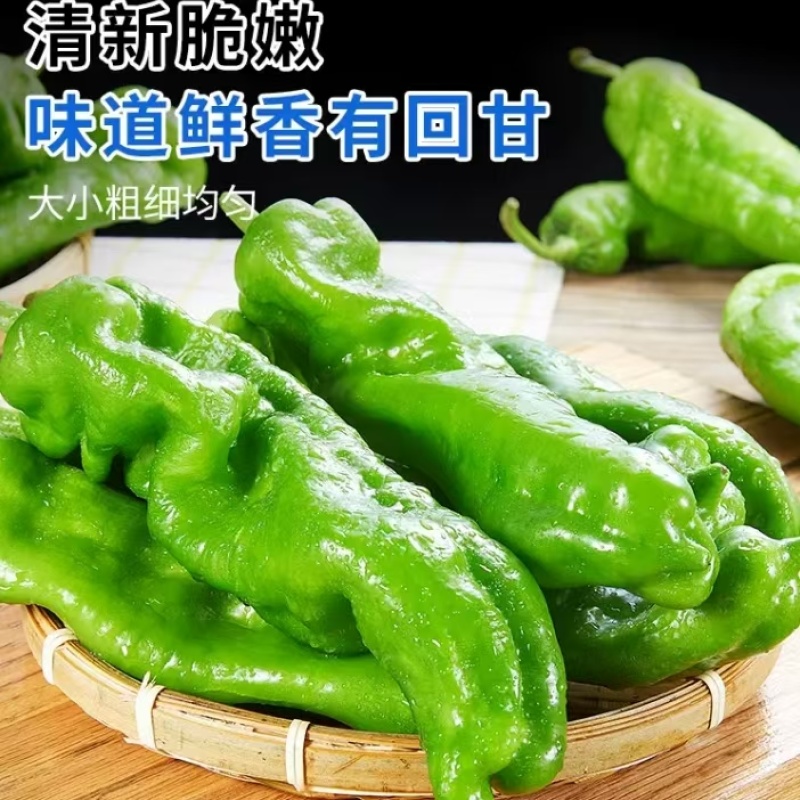 [辣椒]芜湖椒原产地发货一条龙服务24小时在线服务