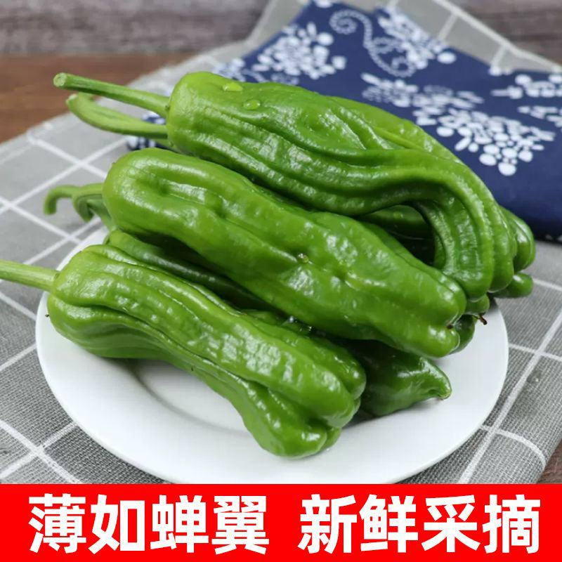 [辣椒]芜湖椒原产地发货一条龙服务24小时在线服务