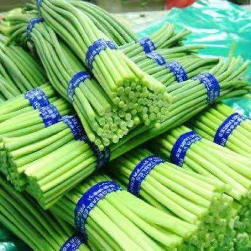 白帽蒜薹大量上市产地发货商超品质欢迎订购