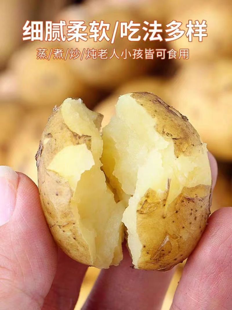 黄心土豆大量上市马铃薯产地直发规格齐全欢迎订购