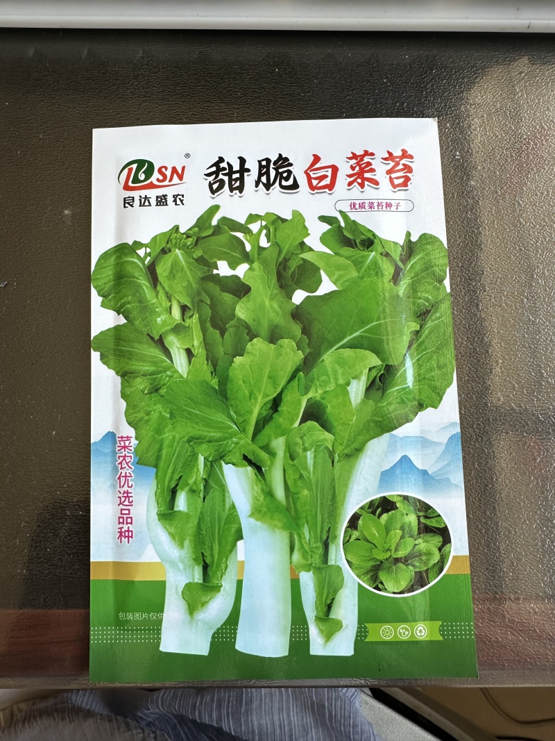 甜脆白菜苔种子早熟粗大鲜嫩侧苔生长多且快优质良种