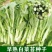 甜脆白菜苔种子早熟粗大鲜嫩侧苔生长多且快优质良种
