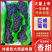 辽宁北镇陆地巨峰葡萄大量上市，产地一手货源，批发商超
