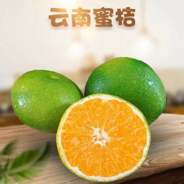 云南青皮蜜橘一件代发产地直发一手货源对接各大电商平台