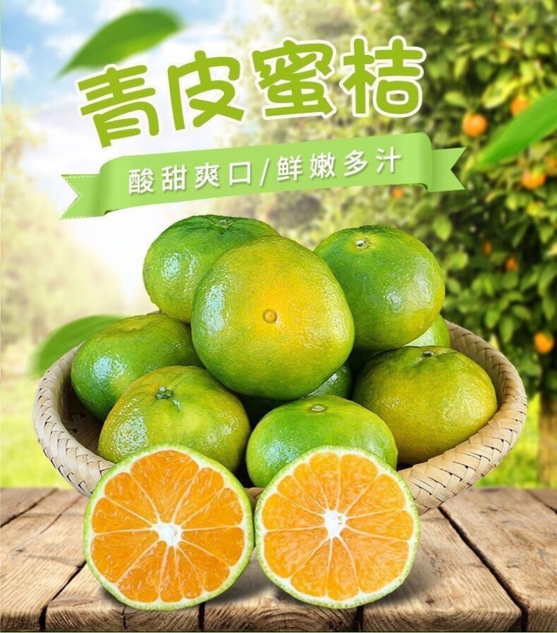云南青皮蜜橘一件代发产地直发一手货源对接各大电商平台