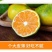 云南青皮蜜橘一件代发产地直发一手货源对接各大电商平台