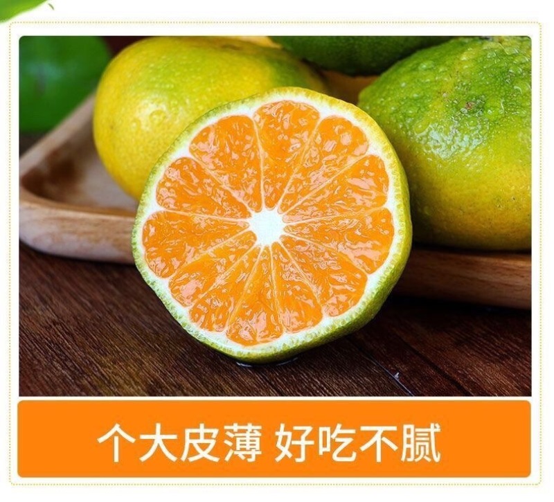 云南青皮蜜橘一件代发产地直发一手货源对接各大电商平台