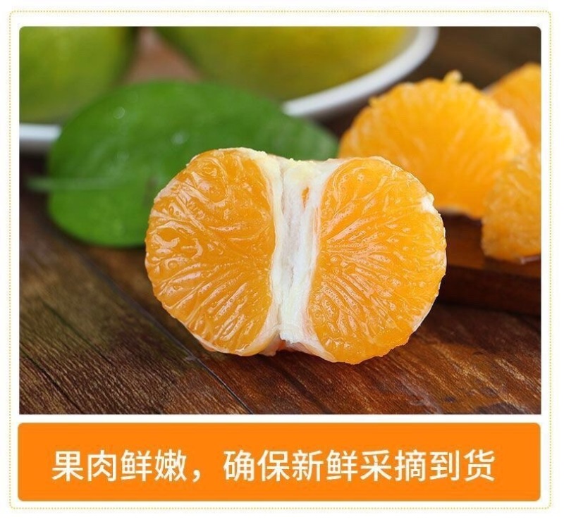 云南青皮蜜橘一件代发产地直发一手货源对接各大电商平台
