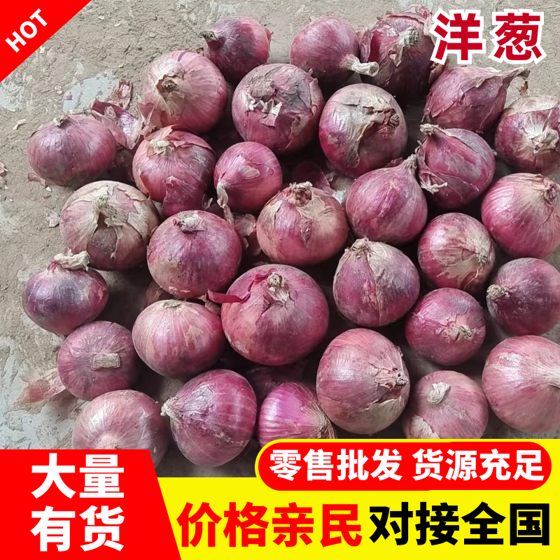 二红洋葱，一手货源，价格美丽，量大从优，品质保证