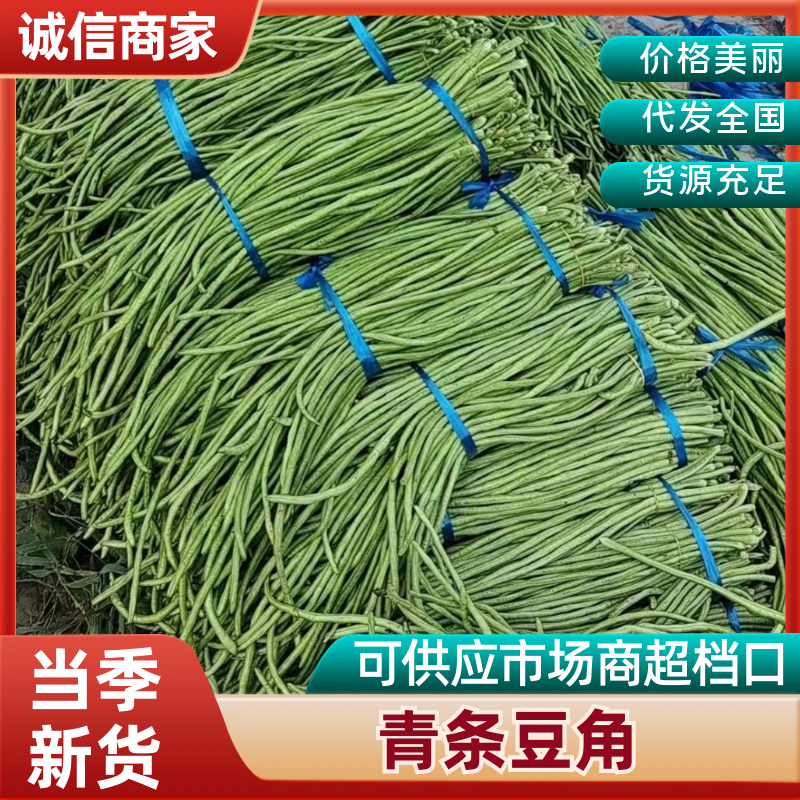 青条豆角品质好价格优基地直发环氧板来电采购