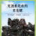 南召黑木耳产地直发/非转基因人工采摘/生态优选