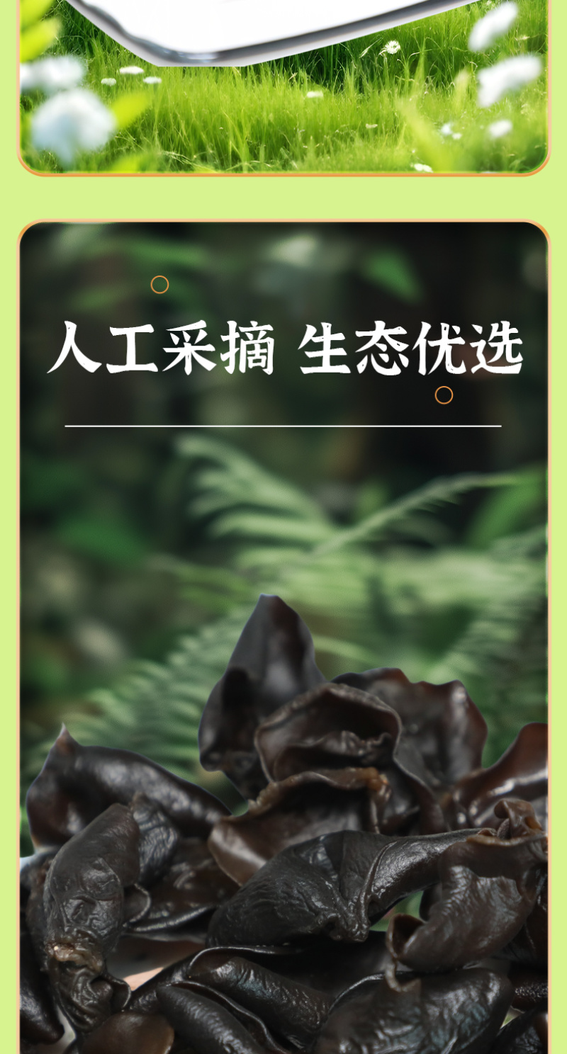 南召黑木耳产地直发/非转基因人工采摘/生态优选