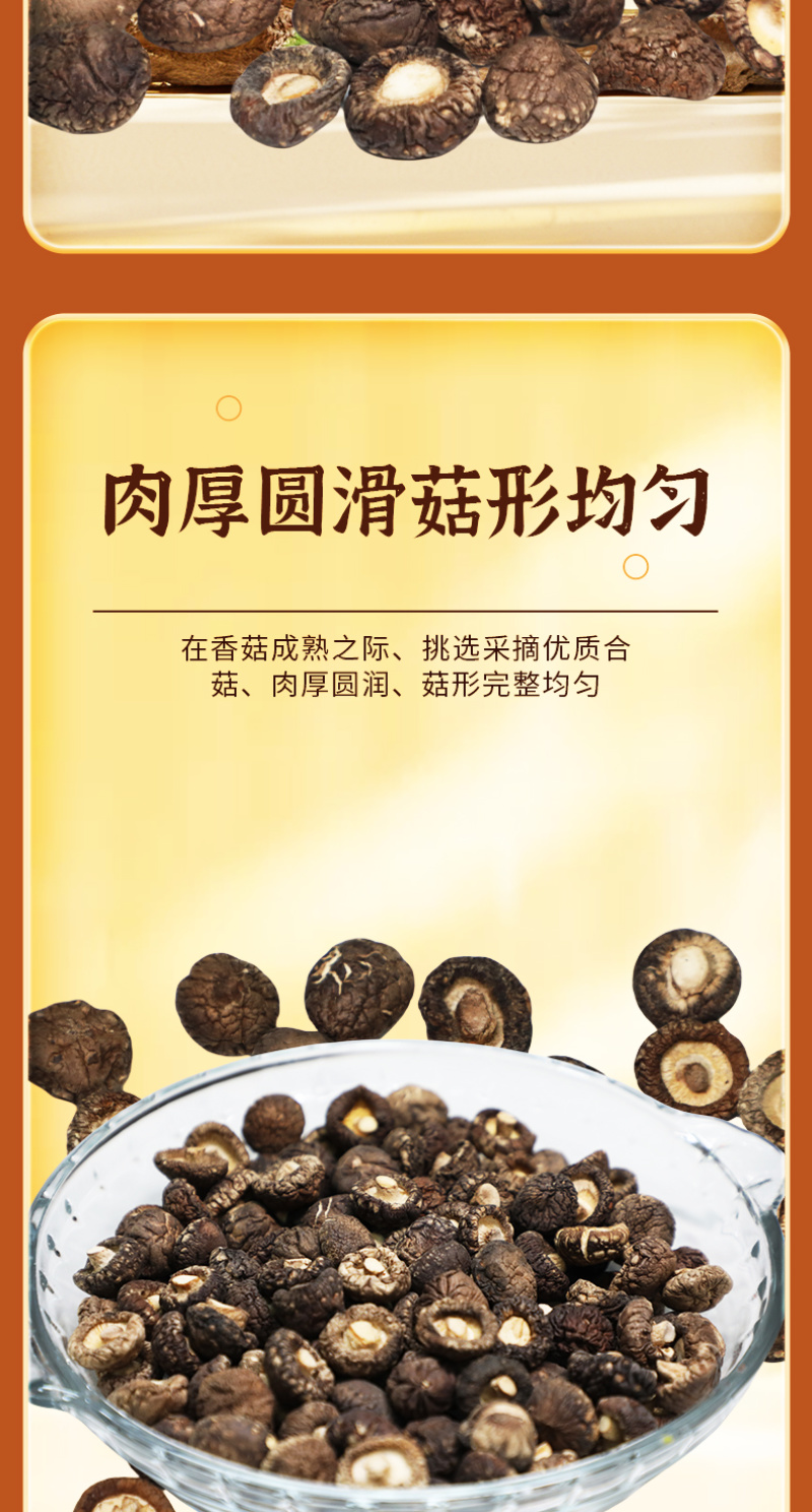 【热卖】南召珍珠菇颜色纯正天然自然烘干产地直发